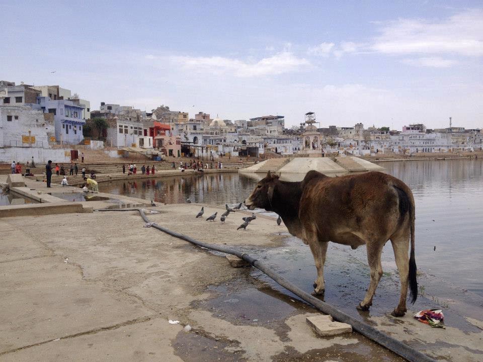 India by train: Pushkar