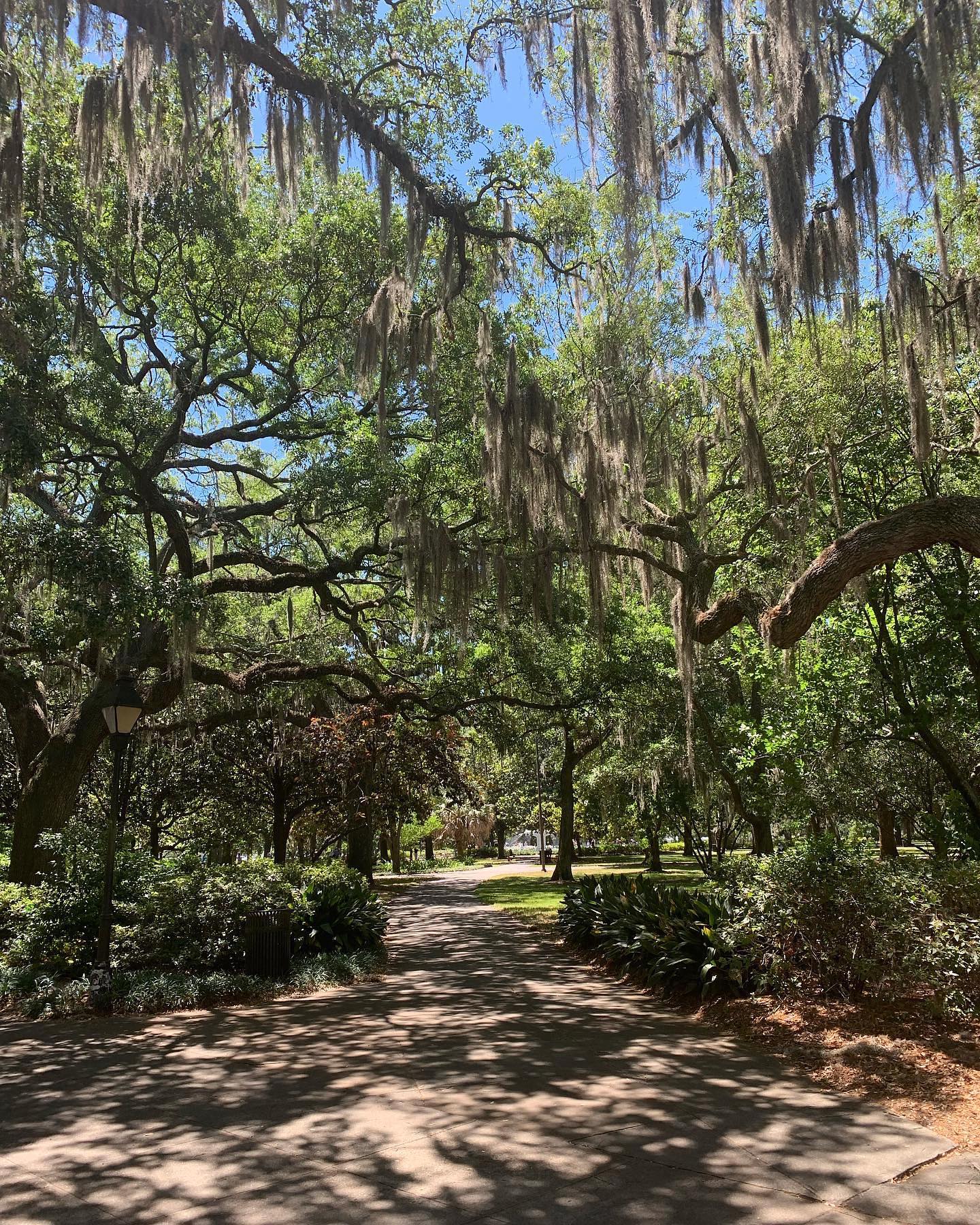 Distance Between Charleston Sc And Savannah Georgia
