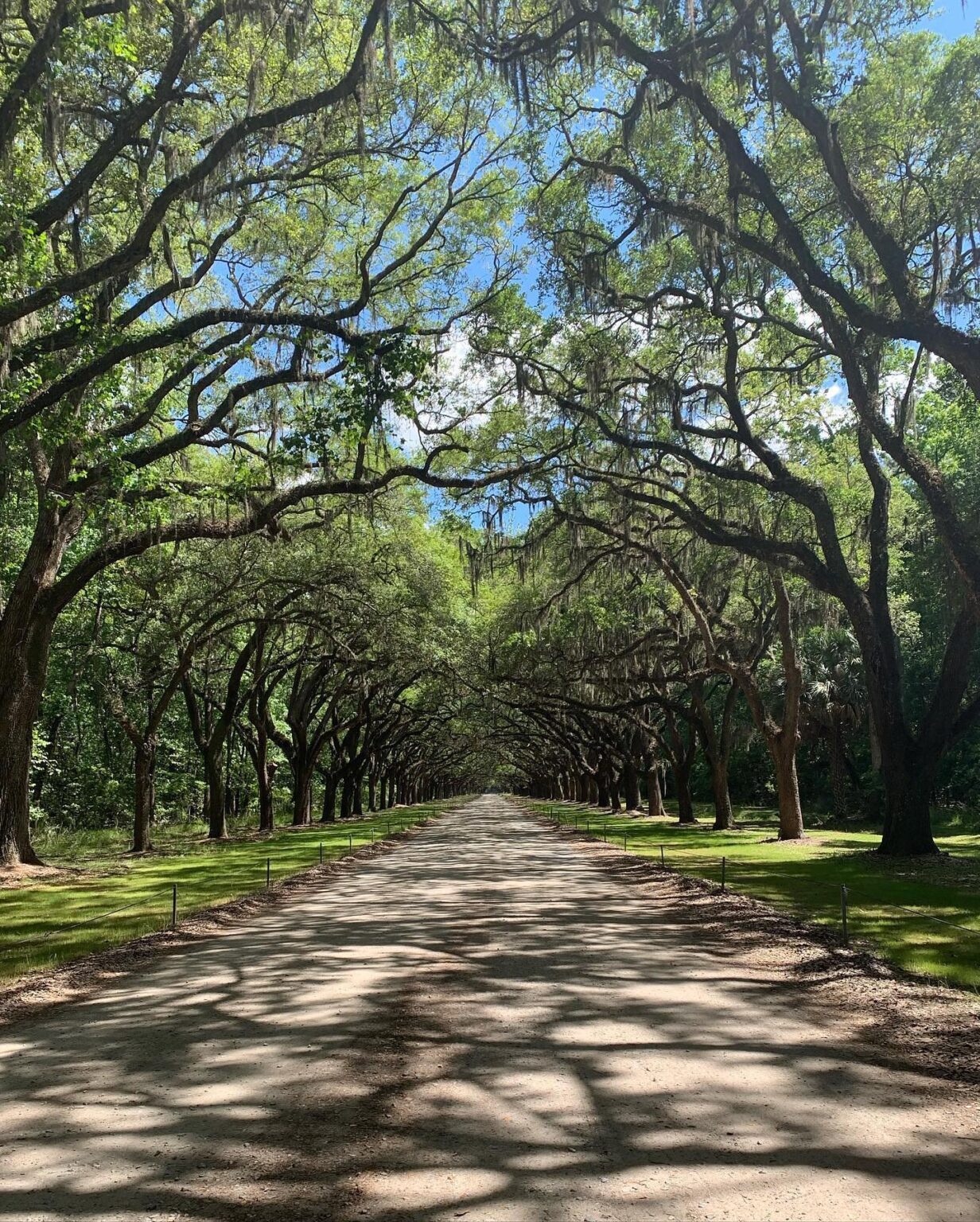 Distance Between Charleston Sc And Savannah Georgia