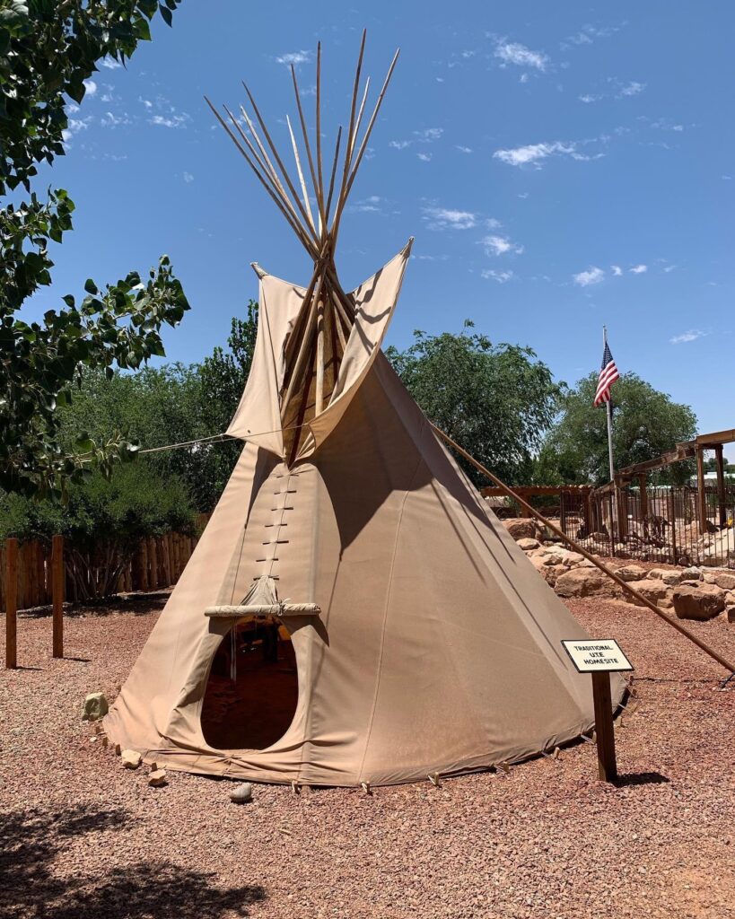 Gallup NM to Bluff UT: indians
