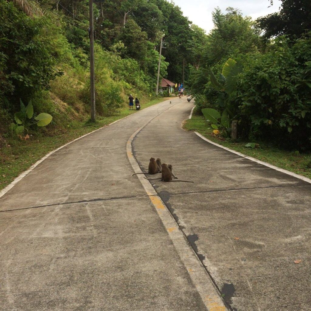 Backpacking in Thailand: Ko Lanta