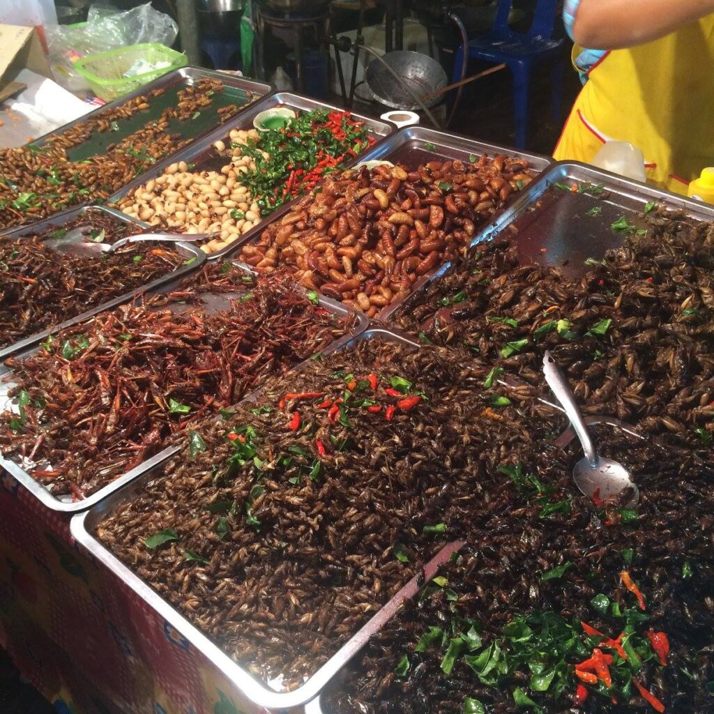 Street Food in Thailand: deep fried crickets and bugs